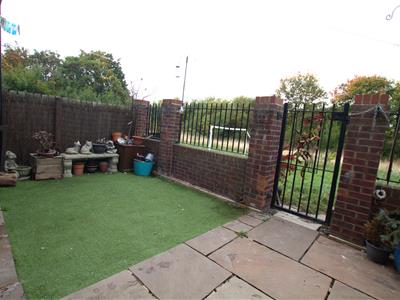 Picture 21